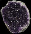 Dark Purple Amethyst Cut Base Cluster - Uruguay #36639-1